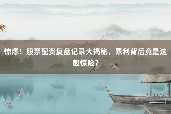 惊爆！股票配资复盘记录大揭秘，暴利背后竟是这般惊险？