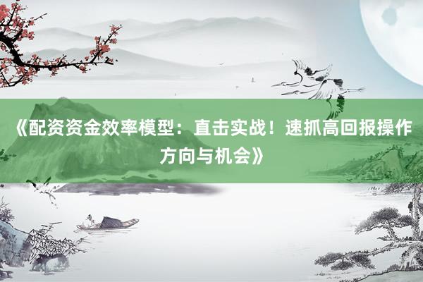 《配资资金效率模型：直击实战！速抓高回报操作方向与机会》