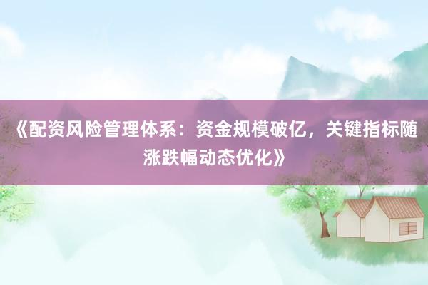 《配资风险管理体系：资金规模破亿，关键指标随涨跌幅动态优化》