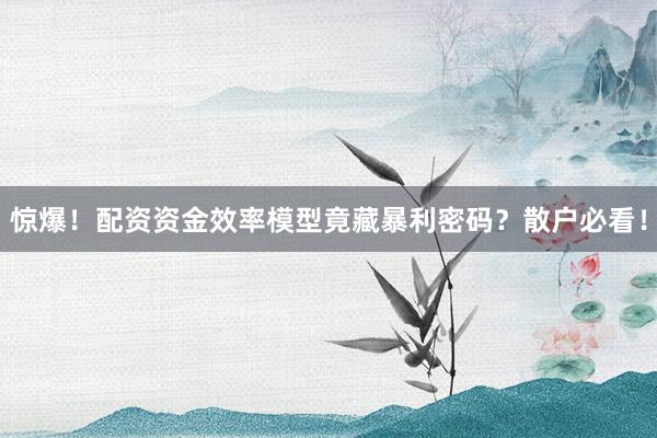 惊爆！配资资金效率模型竟藏暴利密码？散户必看！