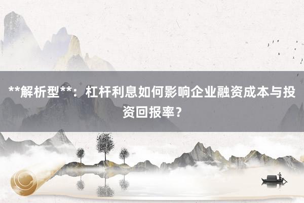 **解析型**：杠杆利息如何影响企业融资成本与投资回报率？