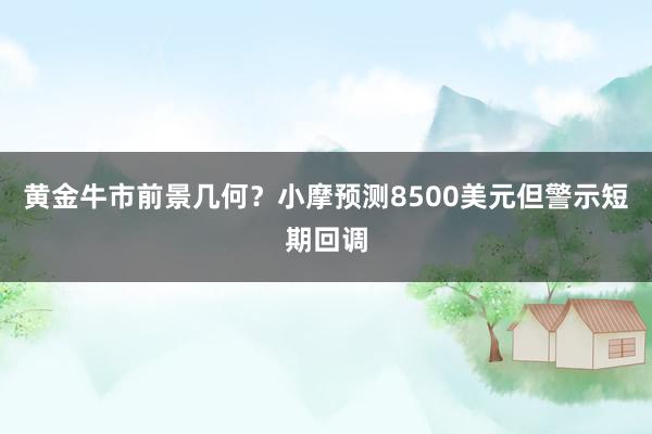 黄金牛市前景几何？小摩预测8500美元但警示短期回调