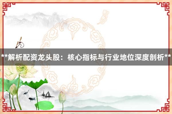 **解析配资龙头股：核心指标与行业地位深度剖析**