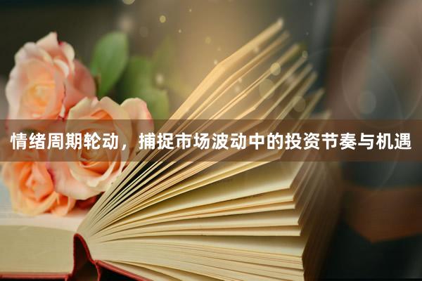 情绪周期轮动，捕捉市场波动中的投资节奏与机遇