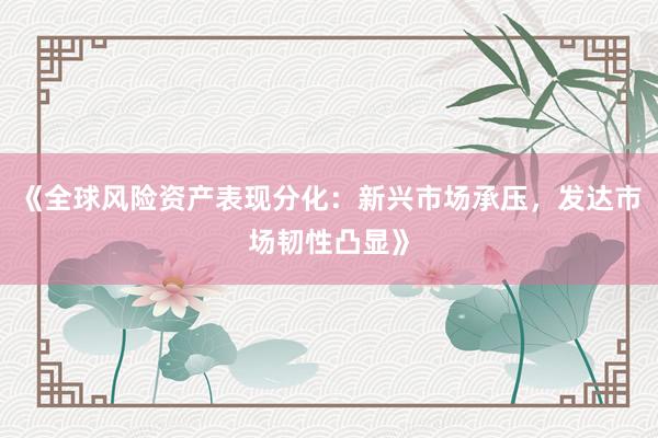 《全球风险资产表现分化：新兴市场承压，发达市场韧性凸显》