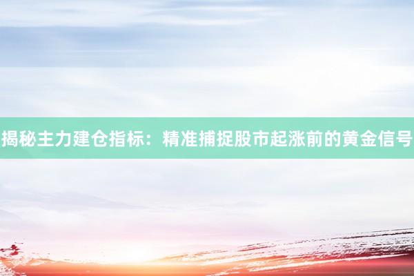 揭秘主力建仓指标：精准捕捉股市起涨前的黄金信号