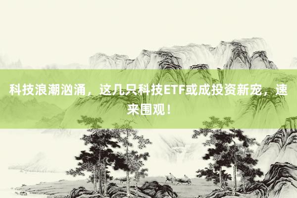 科技浪潮汹涌，这几只科技ETF或成投资新宠，速来围观！