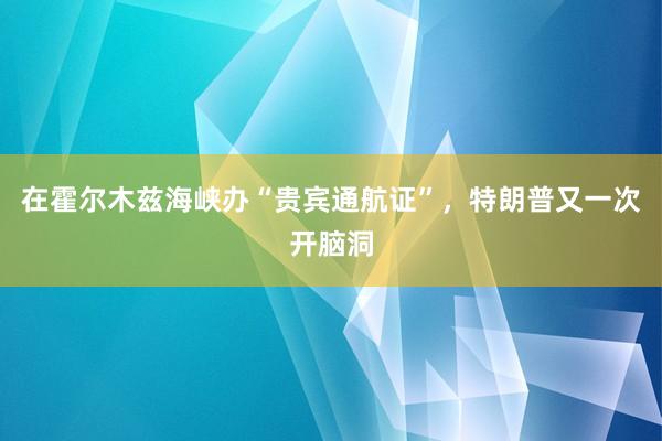 在霍尔木兹海峡办“贵宾通航证”，特朗普又一次开脑洞