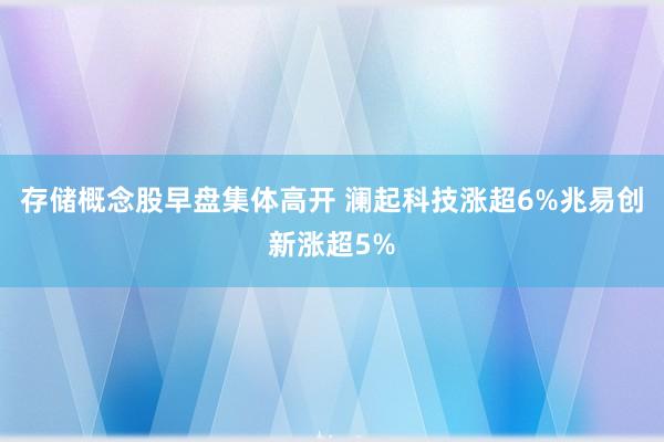 存储概念股早盘集体高开 澜起科技涨超6%兆易创新涨超5%