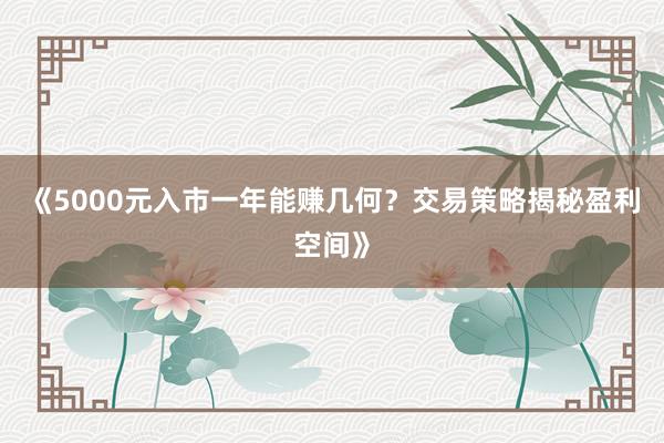 《5000元入市一年能赚几何？交易策略揭秘盈利空间》
