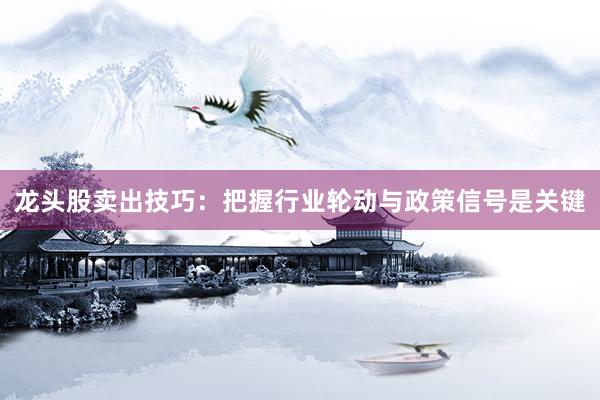 龙头股卖出技巧：把握行业轮动与政策信号是关键