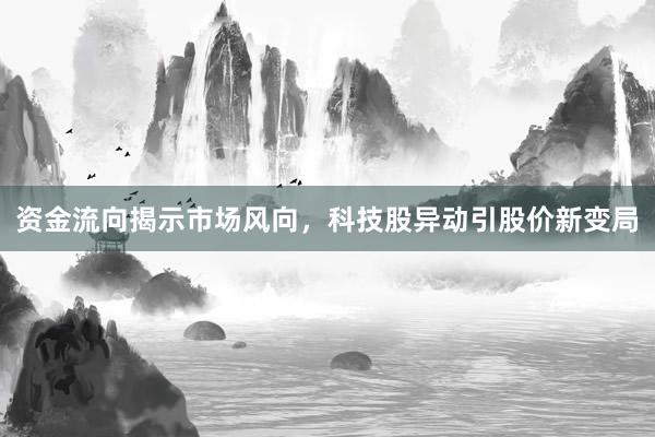 资金流向揭示市场风向，科技股异动引股价新变局