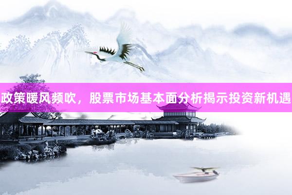 政策暖风频吹，股票市场基本面分析揭示投资新机遇