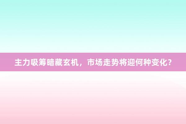 主力吸筹暗藏玄机，市场走势将迎何种变化？