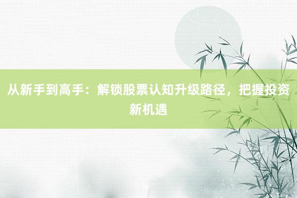 从新手到高手：解锁股票认知升级路径，把握投资新机遇