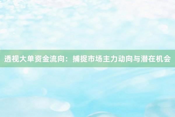 透视大单资金流向：捕捉市场主力动向与潜在机会